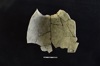 陶罐藏品圖，第2張